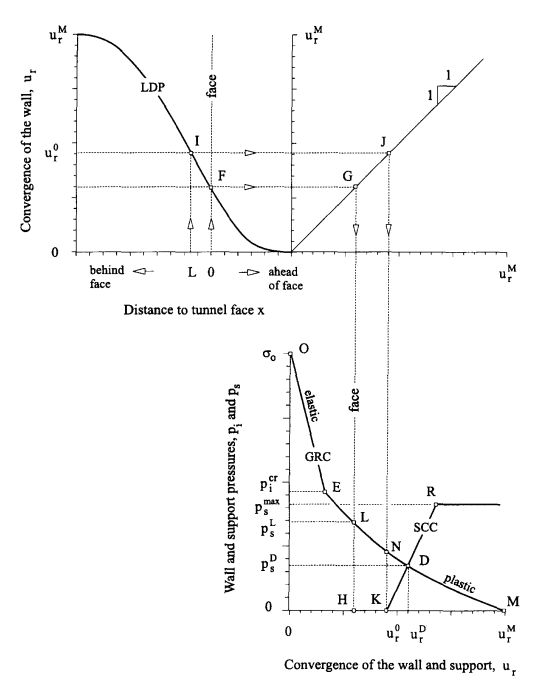 Schematic representation of the Longitudinal Deformation Profile (LDP)